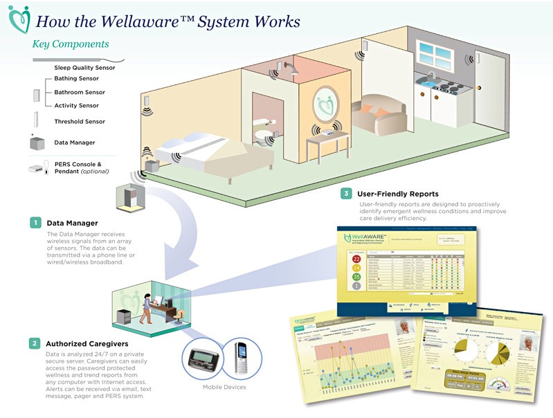HealthSense WellAWARE Systems