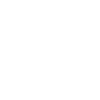 security icon